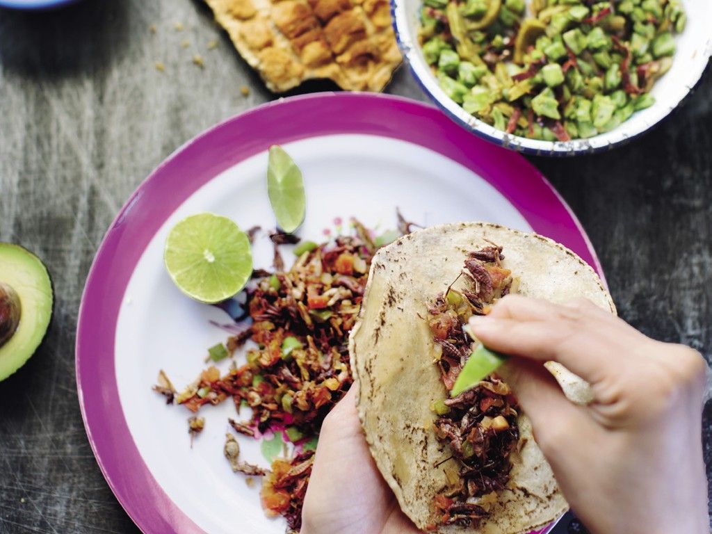 Tacos de Chapulines: A Unique Culinary Adventure at Hotel Las Palapas