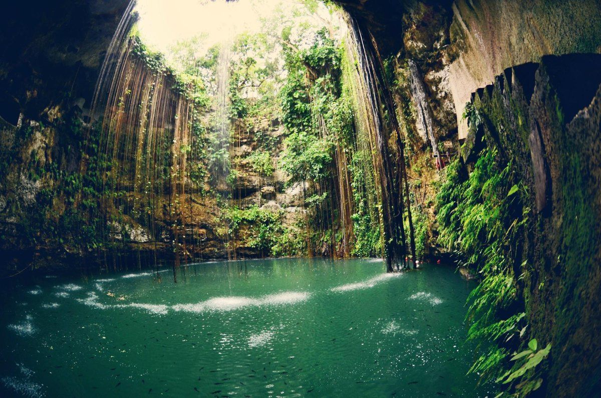 Cenote Ik-Kil: Mexico’s Hidden Gem for Nature Lovers and Adventure Seekers