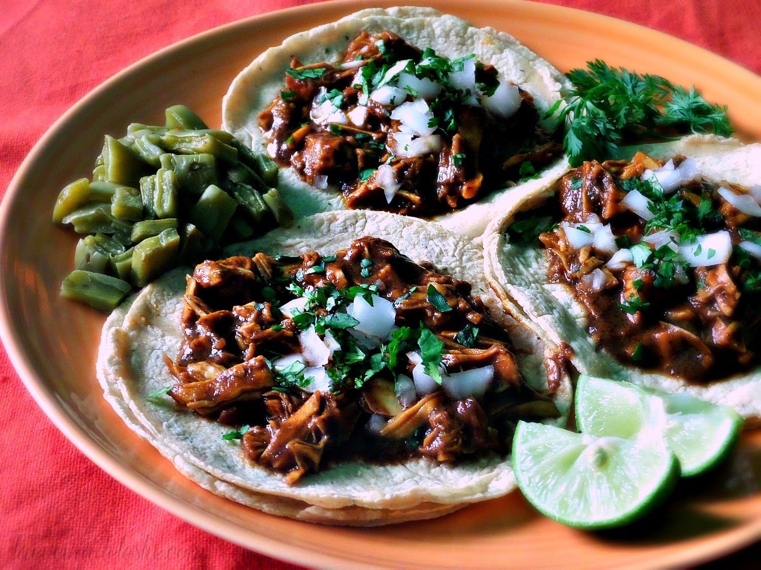 Tacos de Mole Negro: A Delicious Taste of Mexican Tradition at Hotel Las Palapas