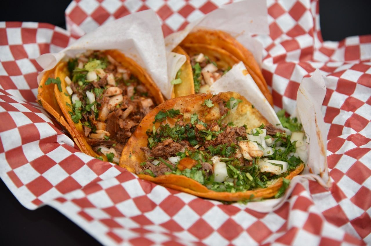 Tacos de Xoloitzcuintli: A Hidden Mexican Culinary Gem You Can’t Miss