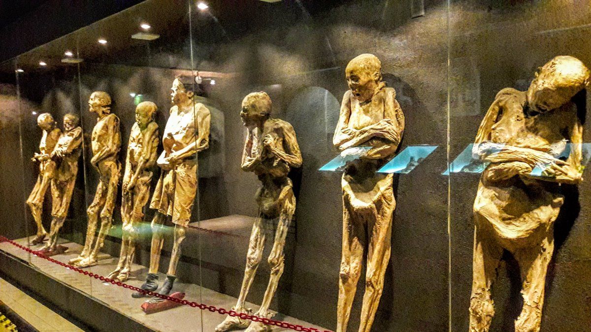 Museo de las Momias (Guanajuato): A Dark Yet Fascinating Journey into History