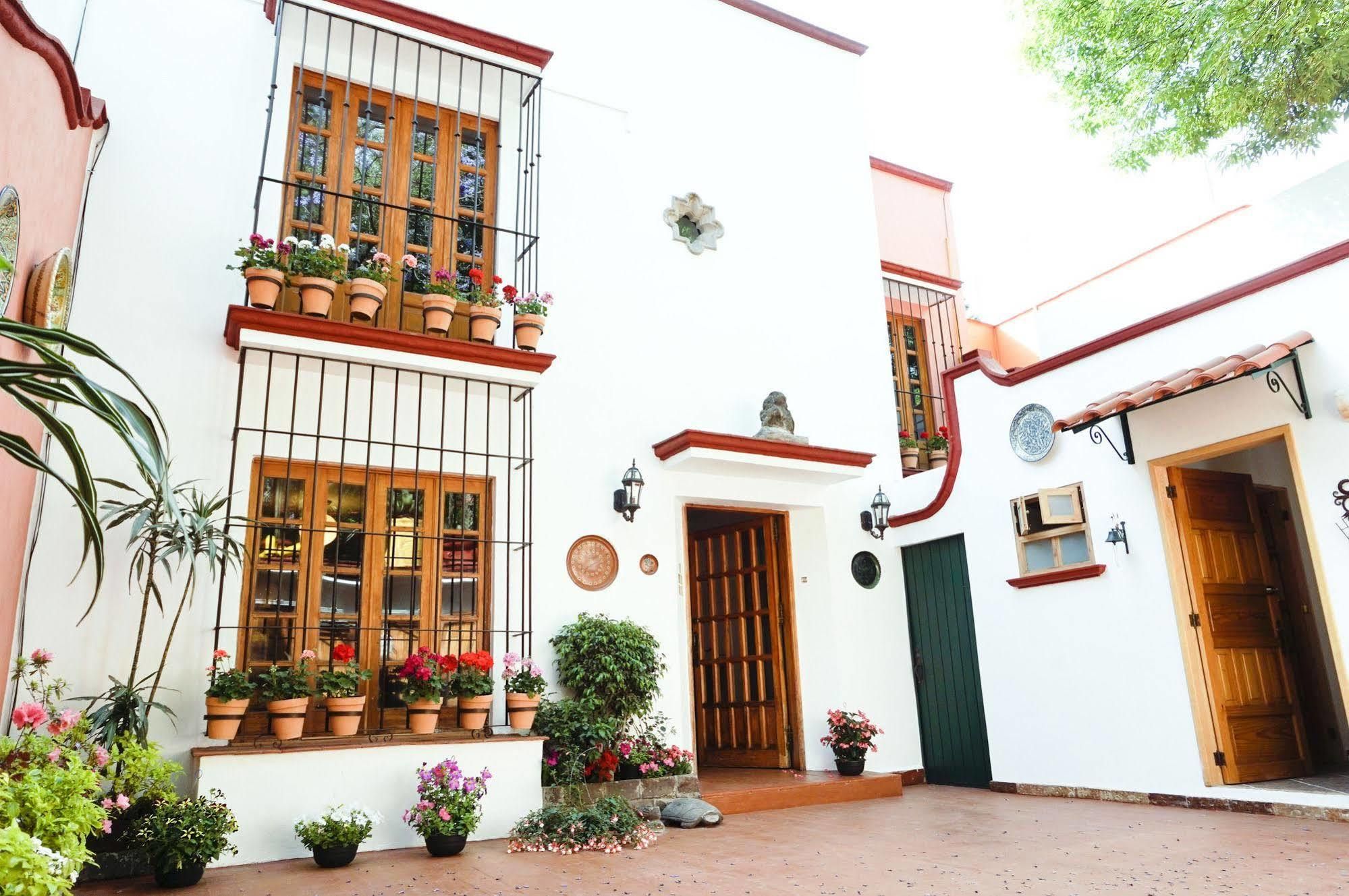 Casa Jacinta Guest House: Your Ultimate Retreat in the Heart of Mexico City
