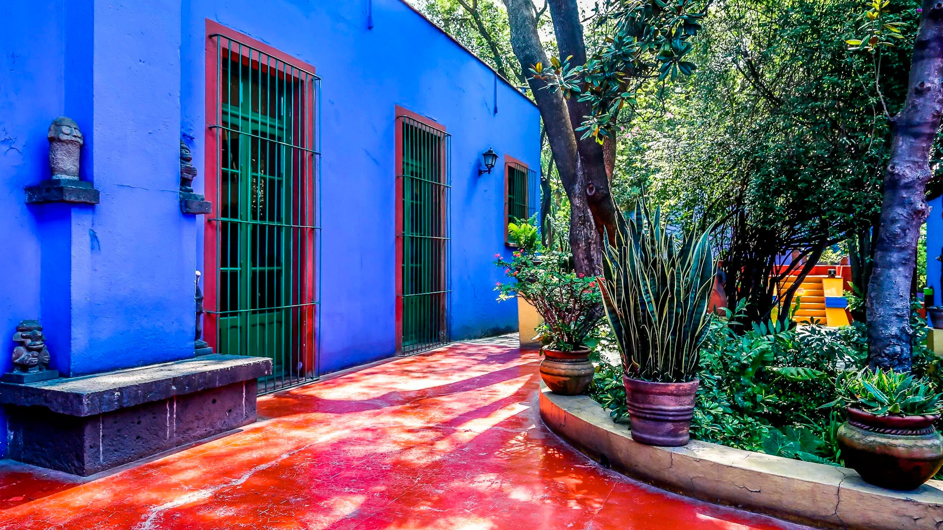 Casa Jacinta Guest House: Your Ultimate Retreat in the Heart of Mexico City