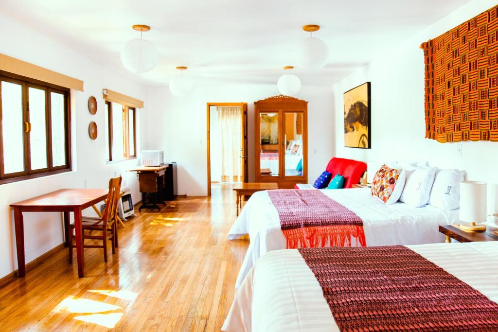 Casa Jacinta Guest House: Your Ultimate Retreat in the Heart of Mexico City