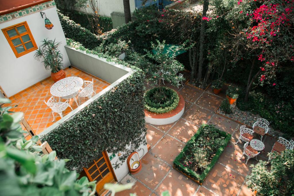 Casa Jacinta Guest House: Your Ultimate Retreat in the Heart of Mexico City