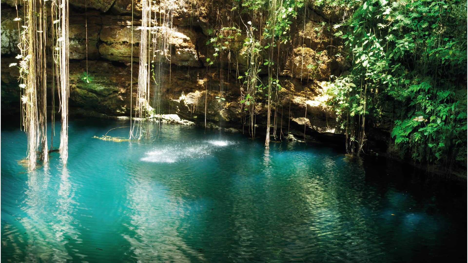 Cenote Ik-Kil: Mexico’s Hidden Gem for Nature Lovers and Adventure Seekers