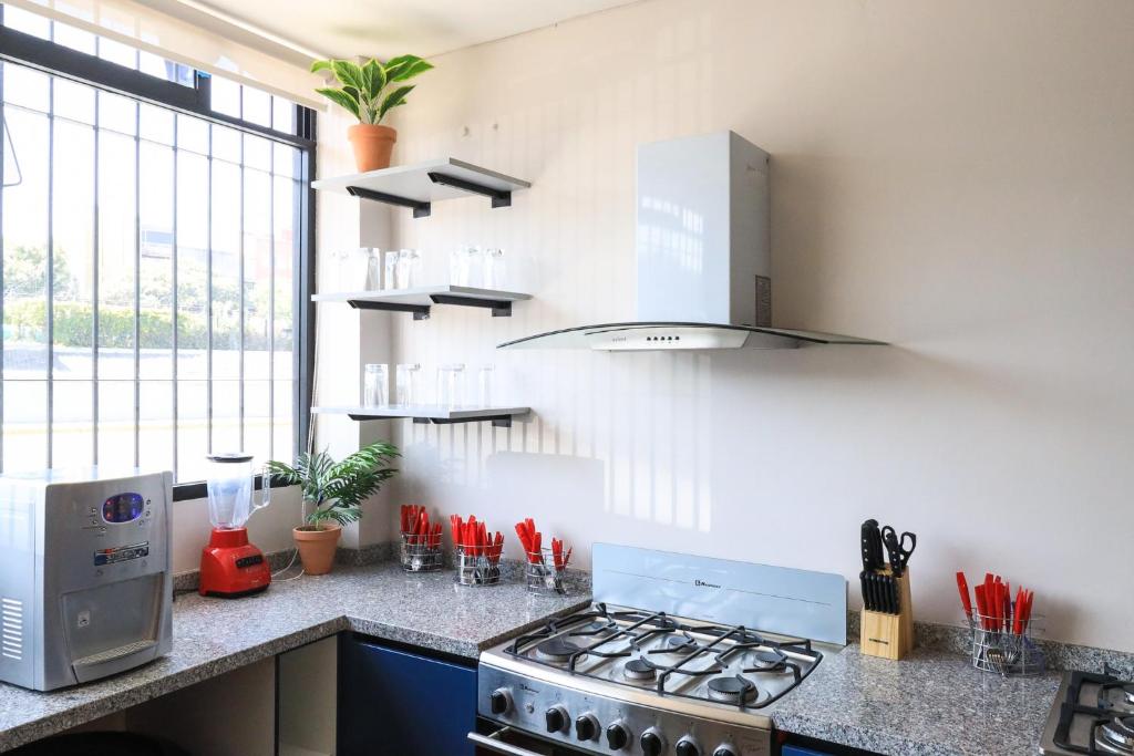 Colmena Monterrey: Your Ultimate Stay in the Heart of Mexico’s Vibrant City