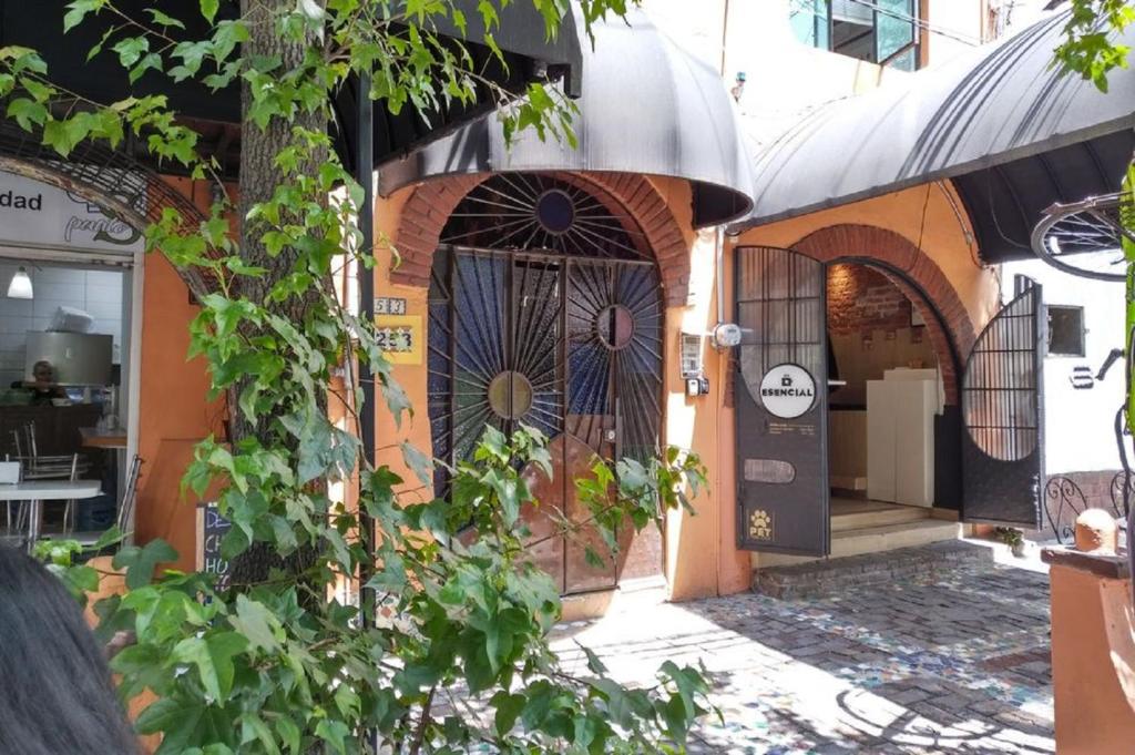 Discover Luxury and Comfort at Suites Portal San Ángel: Your Perfect Stay in Mexico City