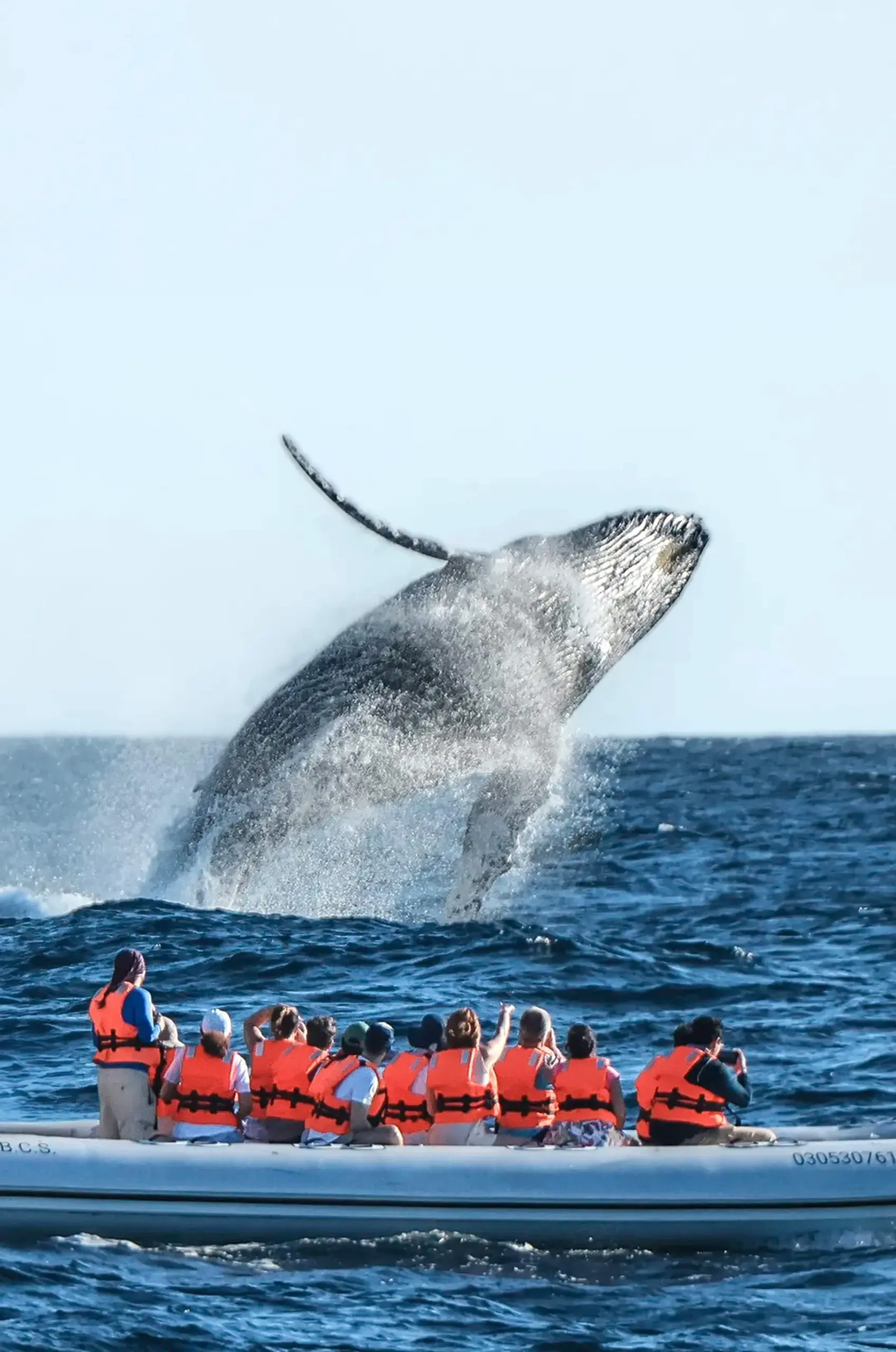 Discover Puerto Vallarta: The Ultimate Travel Destination for Your Next Adventure