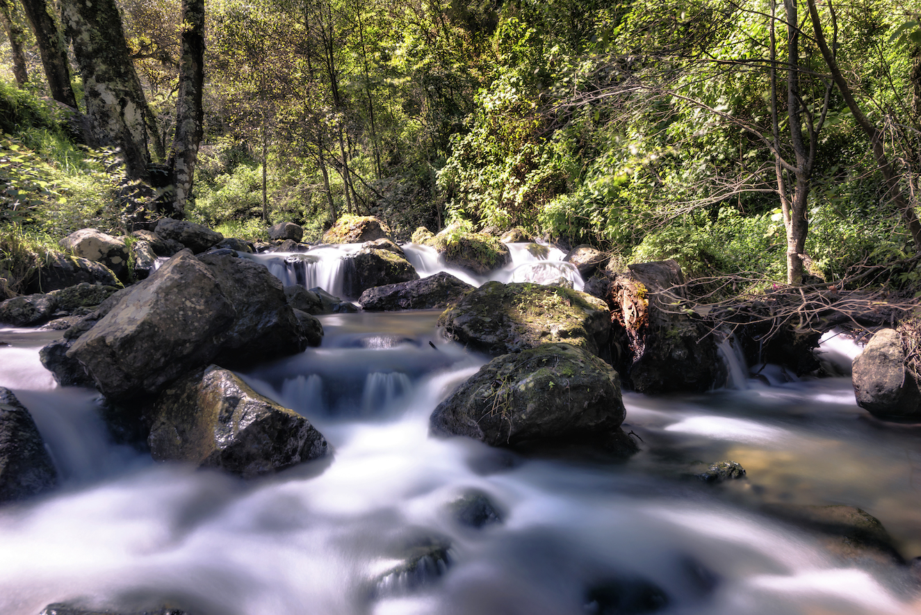 Discover the Breathtaking Beauty of El Chico National Park: A Hidden Gem in Mexico