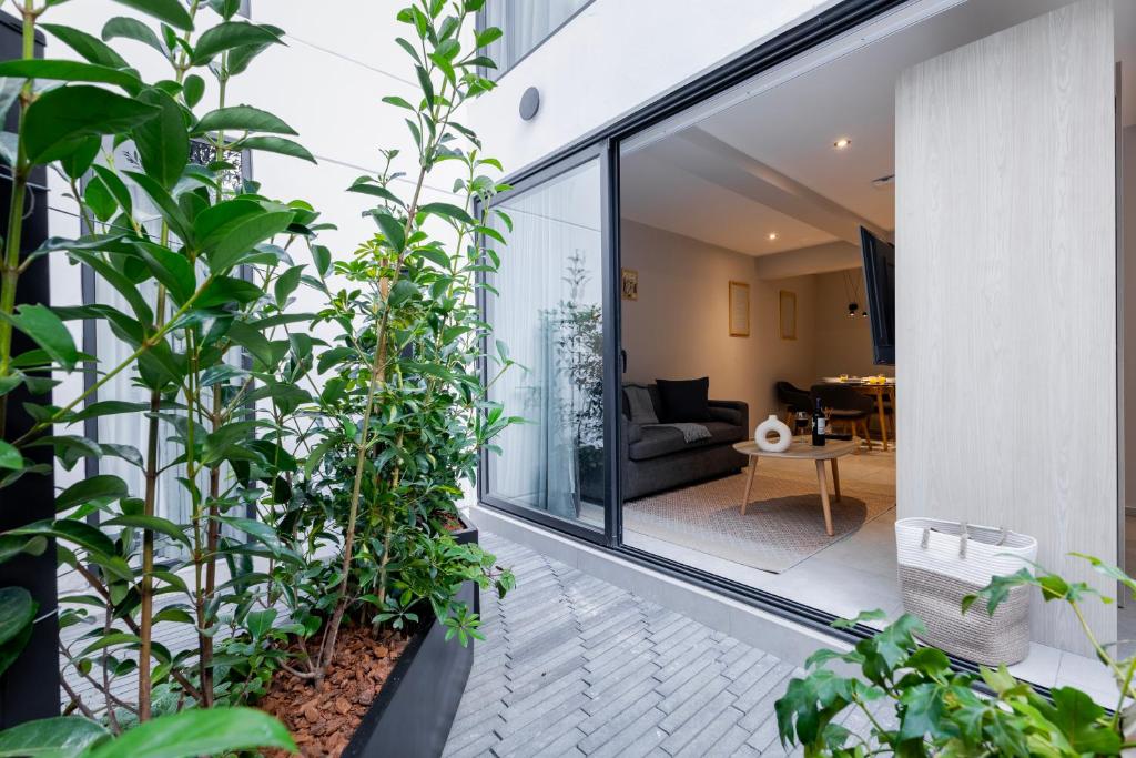 Discover the Charm of Capitalia Hipodromo Condesa: Your Ultimate Hotel Experience in Mexico City