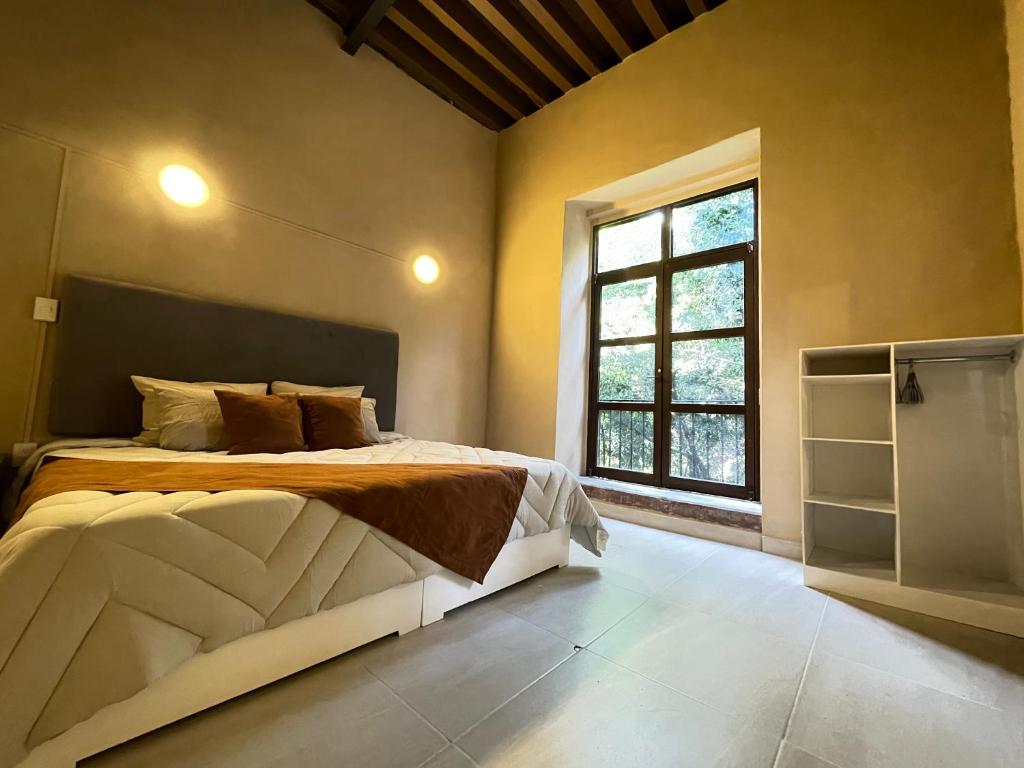 Discover the Charm of Colmena Centro: Your Perfect Getaway in the Heart of Mexico City