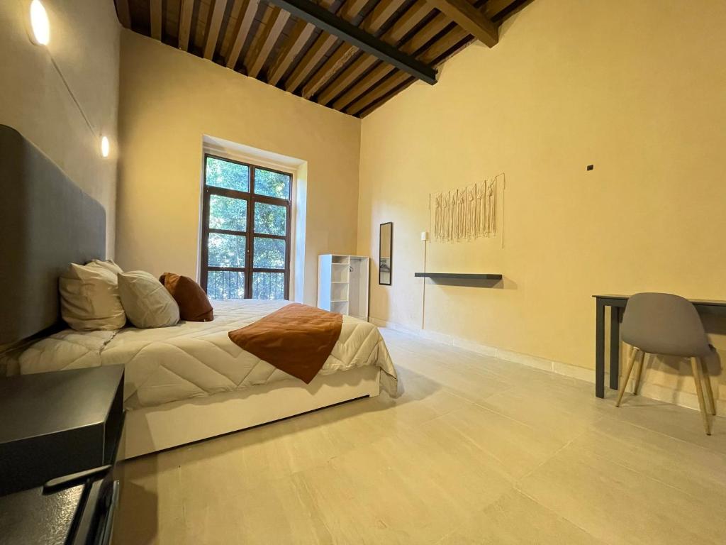 Discover the Charm of Colmena Centro: Your Perfect Getaway in the Heart of Mexico City