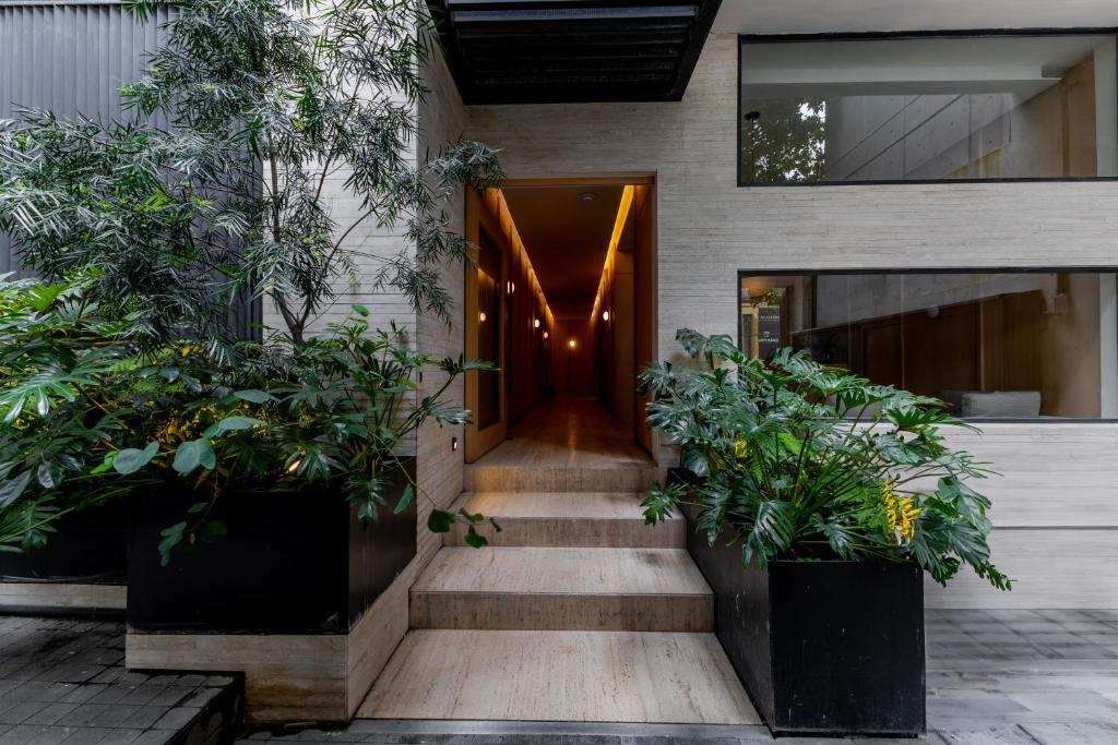 Discover the Elegance of Casa Calderon by Capitalia: Your Ultimate Stay in Mexico City