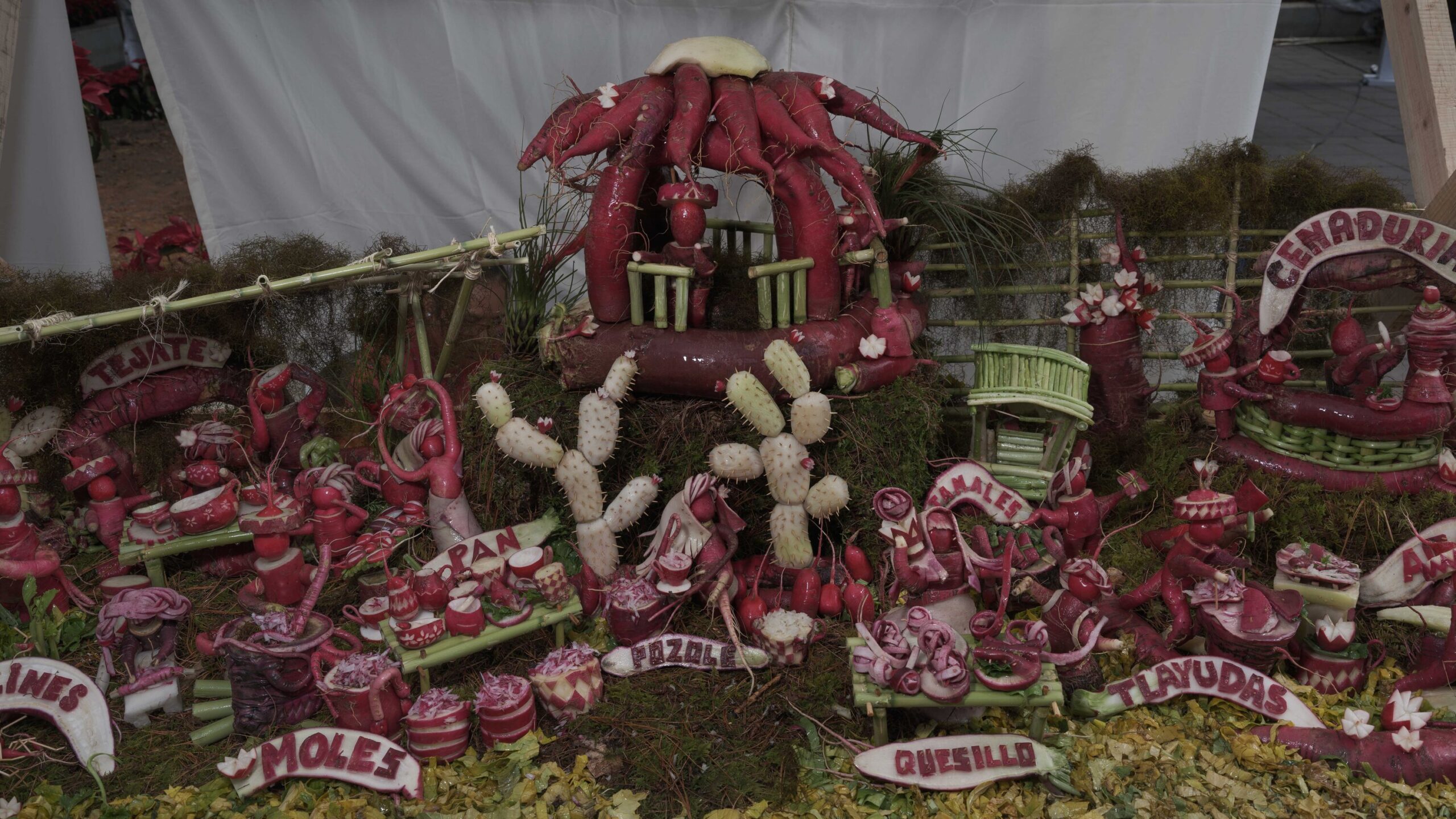 Discover the Magic of Noche de Rábanos (Oaxaca): A Unique Tradition You Can&#8217;t Miss