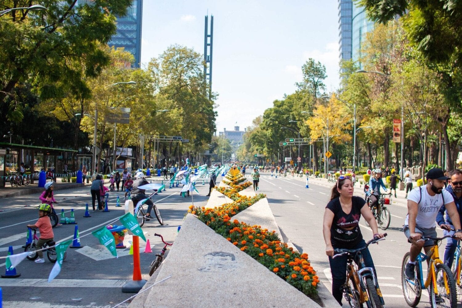 Discover the Magic of Paseo de la Reforma (CDMX): A Journey Through the Heart of Mexico City