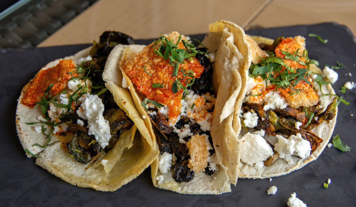 Discover the Magic of Tacos de Huitlacoche with Hotel Las Palapas