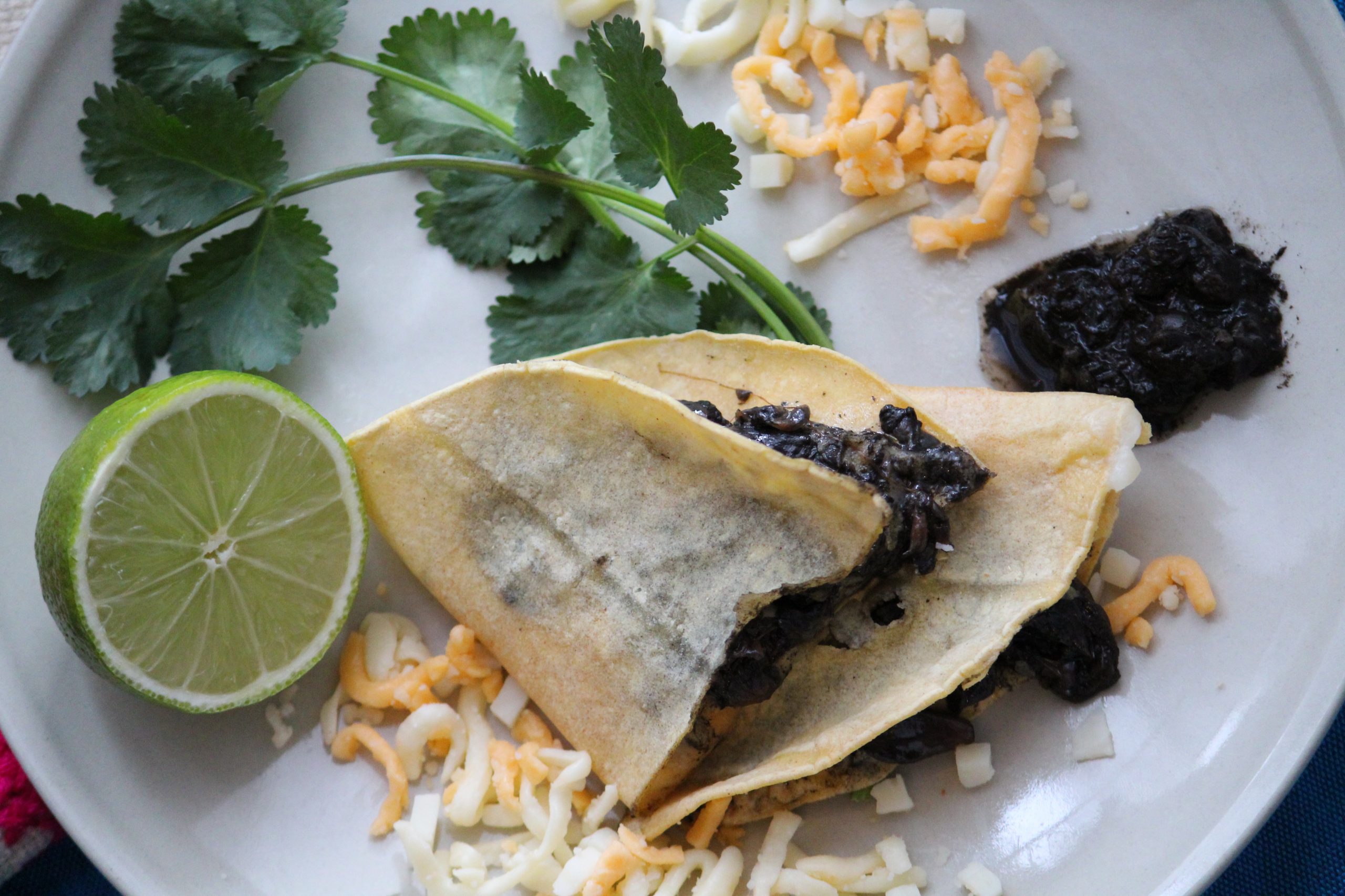 Discover the Magic of Tacos de Huitlacoche with Hotel Las Palapas