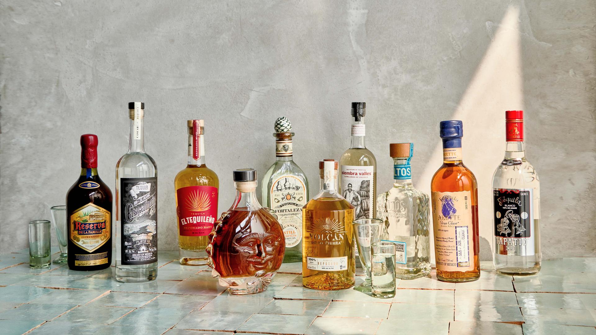 Discover the Magic of Tequila: A Hidden Gem in Mexico with Hotel Las Palapas