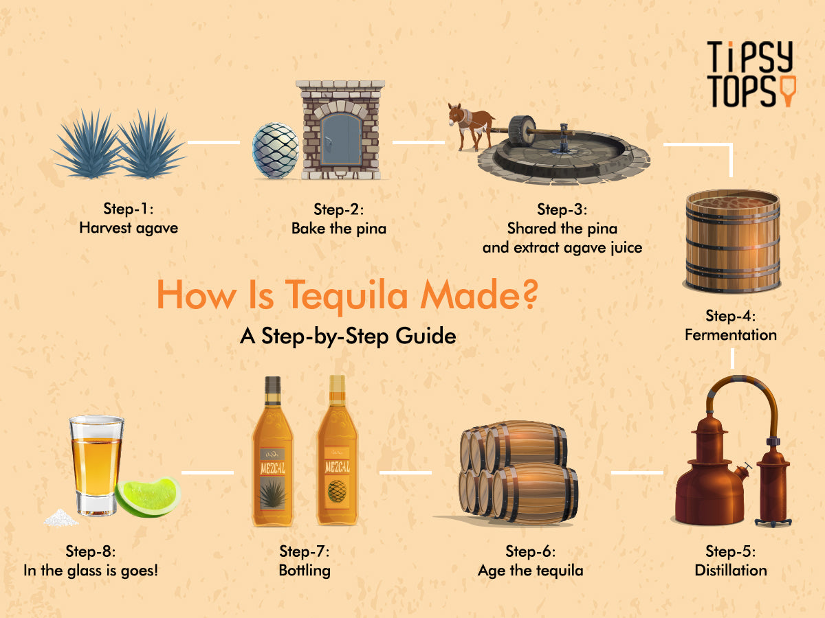 Discover the Magic of Tequila: A Hidden Gem in Mexico with Hotel Las Palapas
