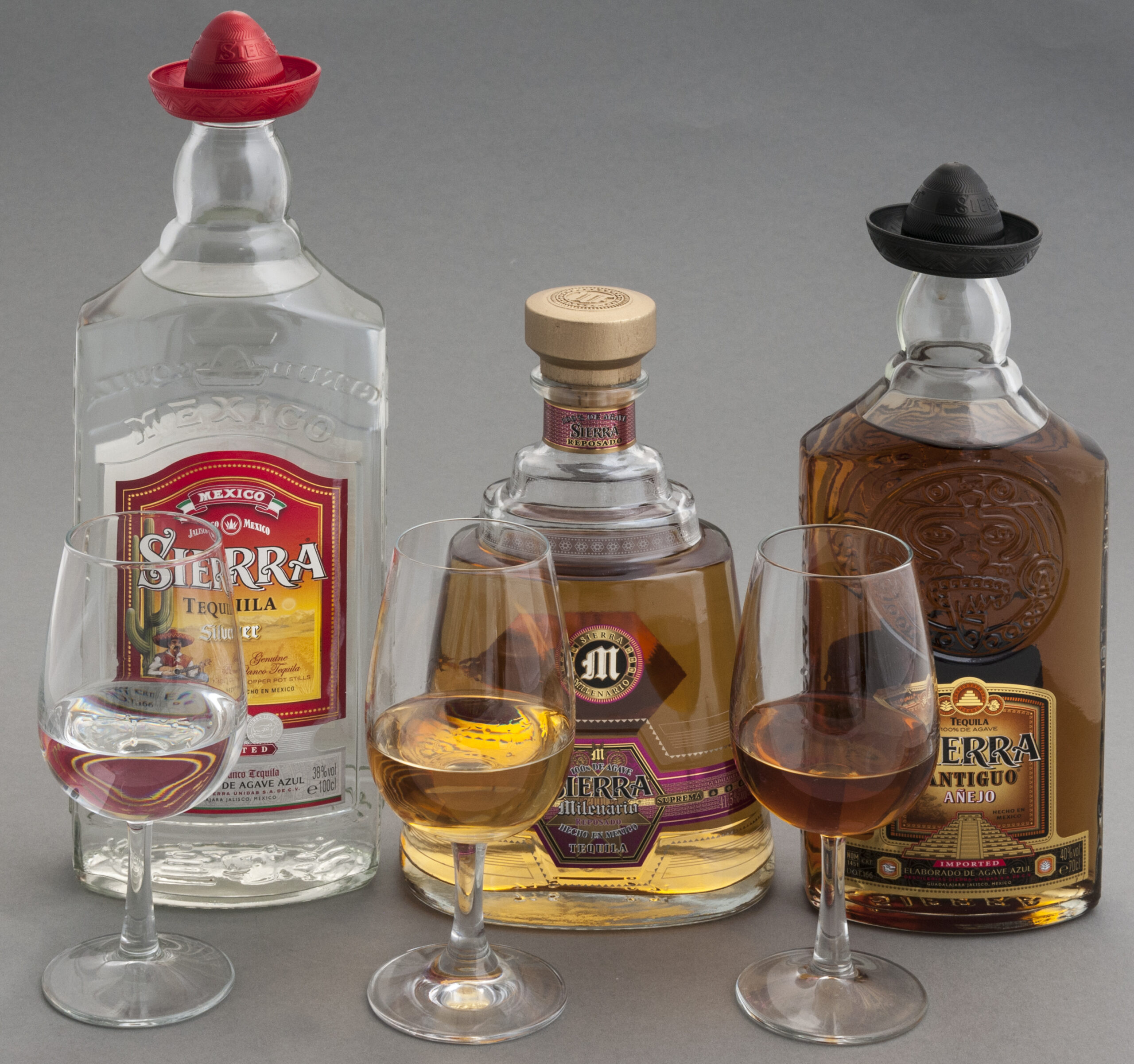 Discover the Magic of Tequila: A Hidden Gem in Mexico with Hotel Las Palapas