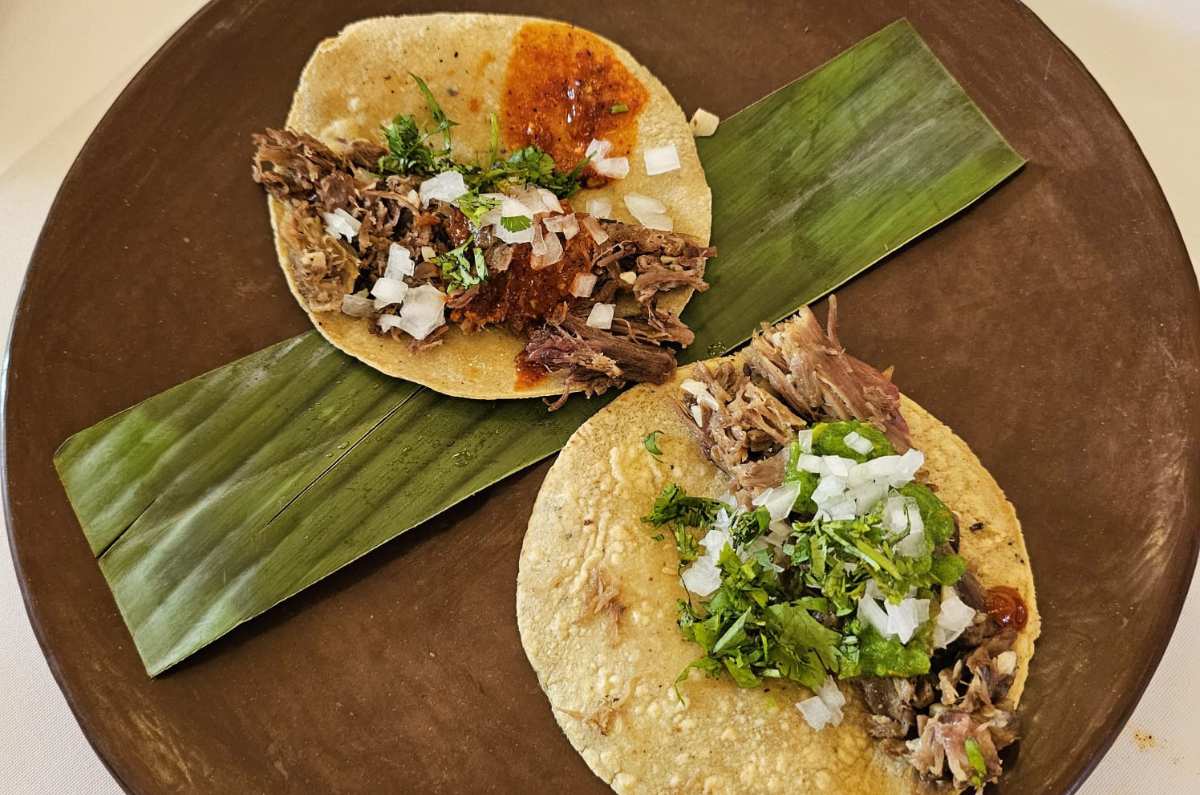 Discover the Rich Flavors of Tacos de Mole de Caderas at Hotel Las Palapas: A Culinary Journey You Won’t Forget