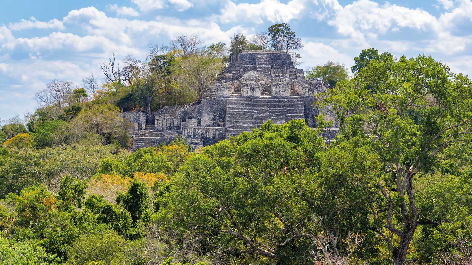 Discover the Wonders of Calakmul: Mexico&#8217;s Hidden Gem