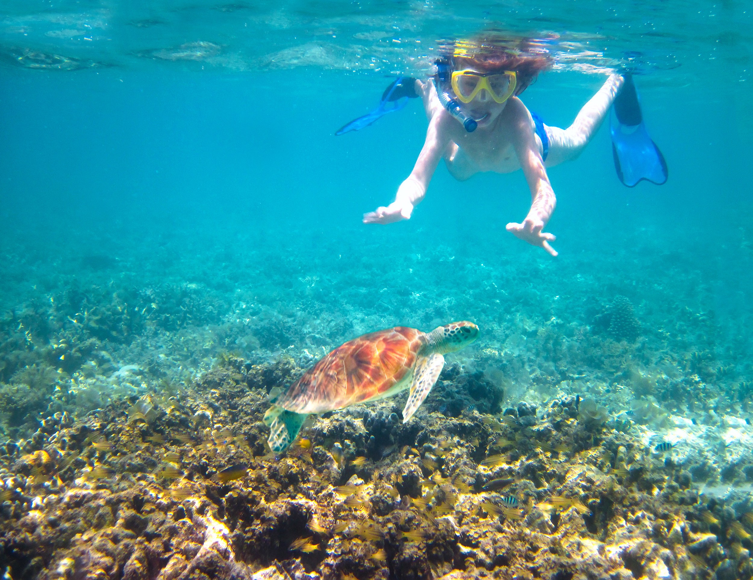 Discover Zihuatanejo: The Hidden Gem of Mexico You Need to Visit
