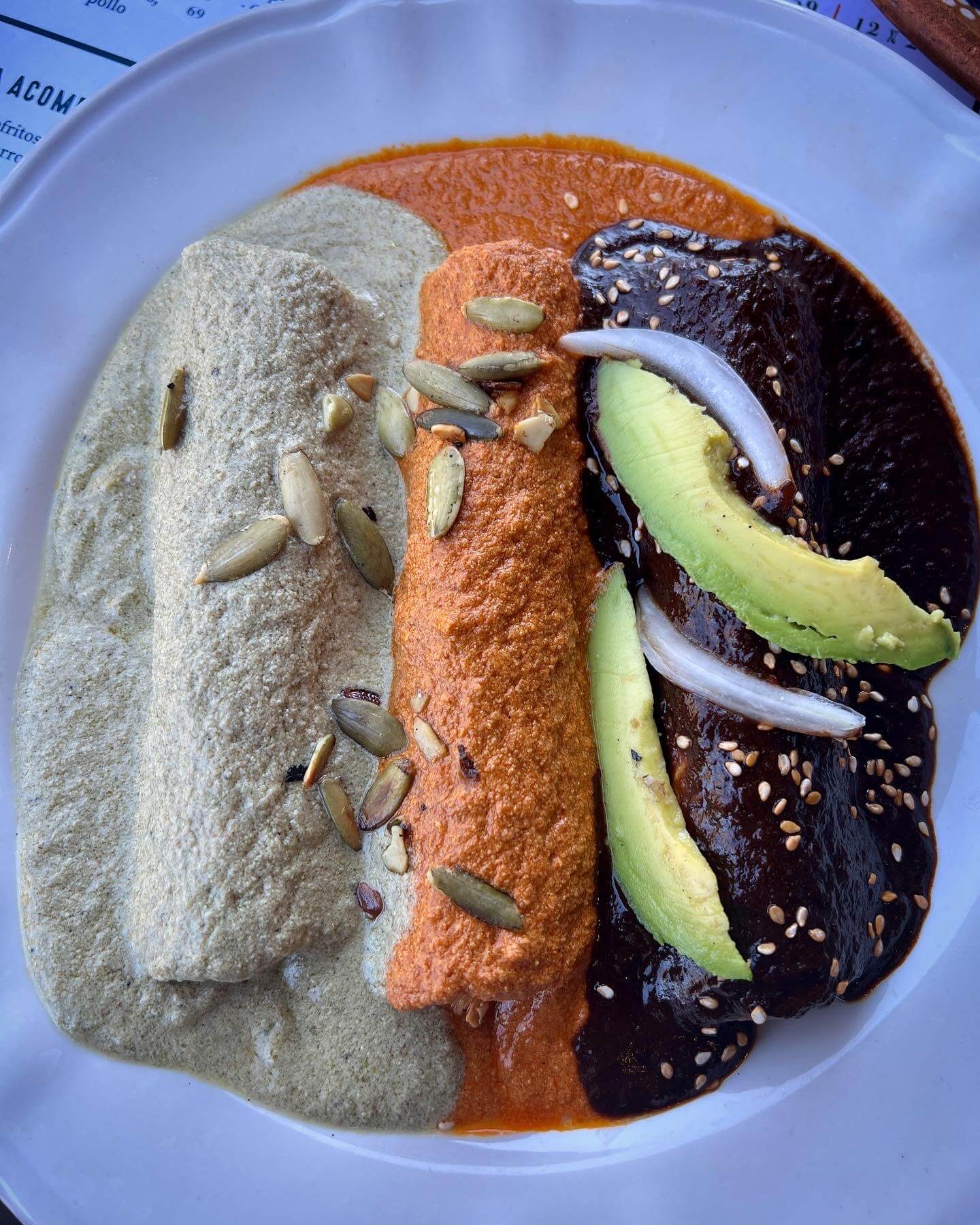Discovering the Flavorful Delight of Tacos de Mole de Puebla: A Culinary Adventure at Hotel Las Palapas