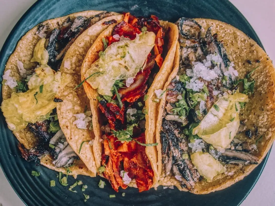 Discovering the Rich Flavors of Tacos de Mole de Michoacán at Hotel Las Palapas