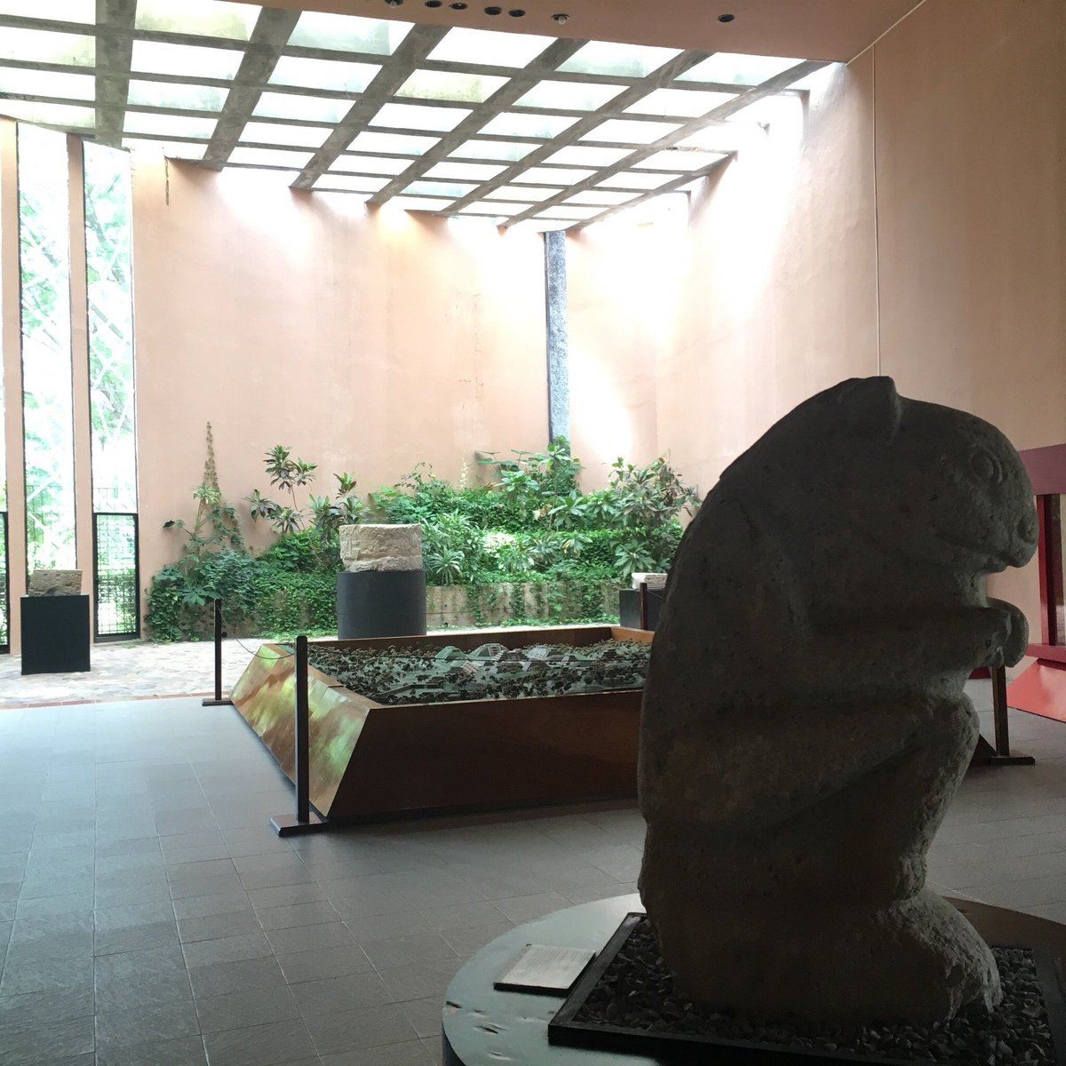 El Tajín: The Majestic Ancient City You Have to See to Believe