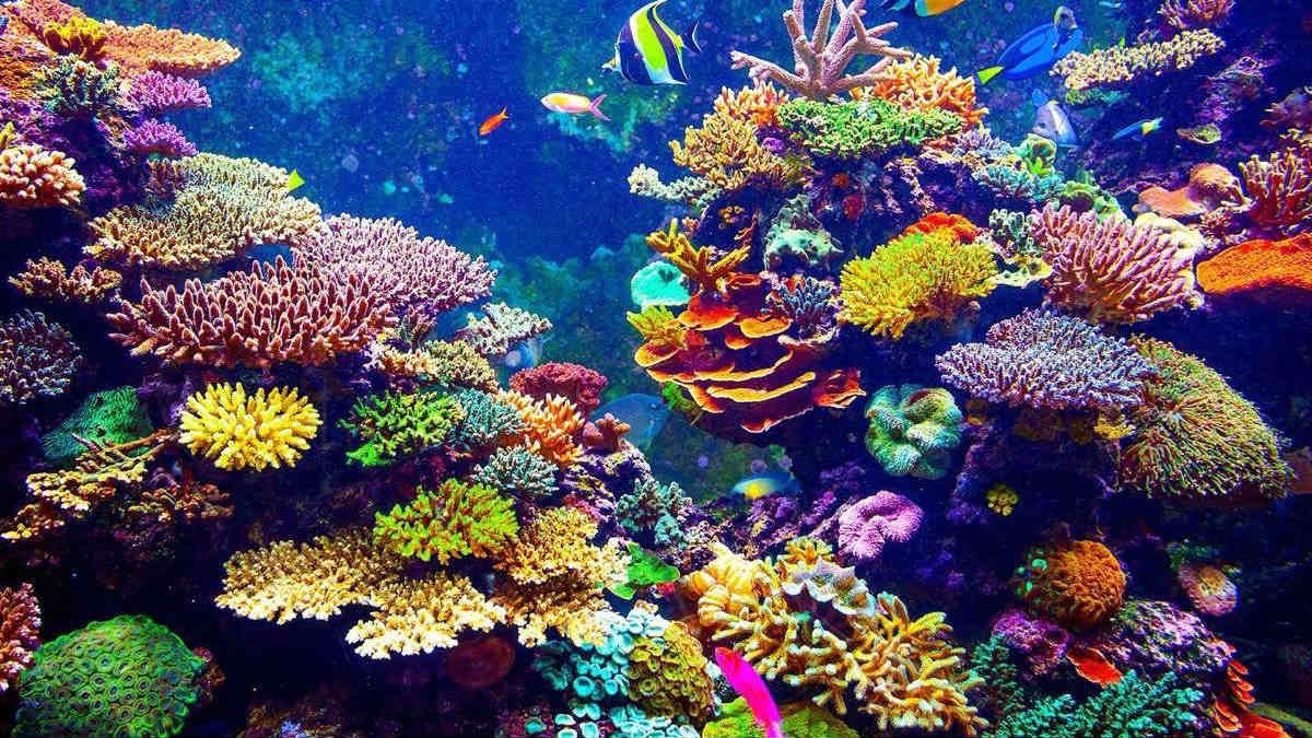 Explore Cozumel: Your Ultimate Guide to Paradise Island