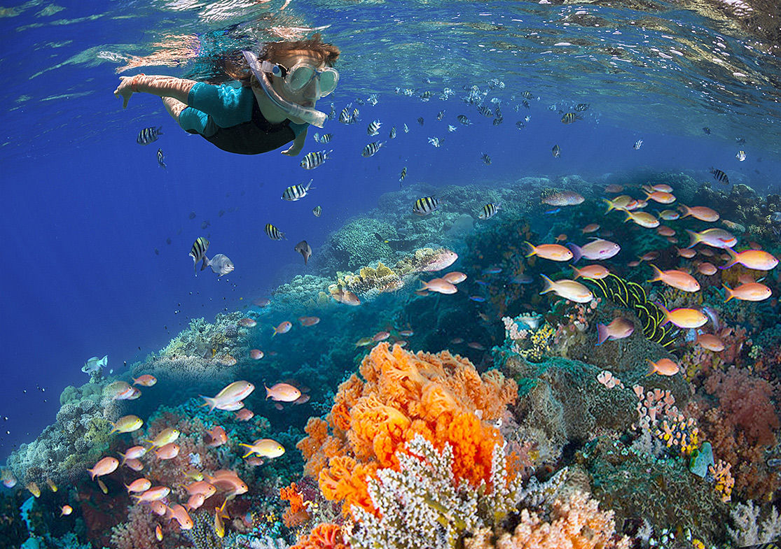 Explore Cozumel: Your Ultimate Guide to Paradise Island