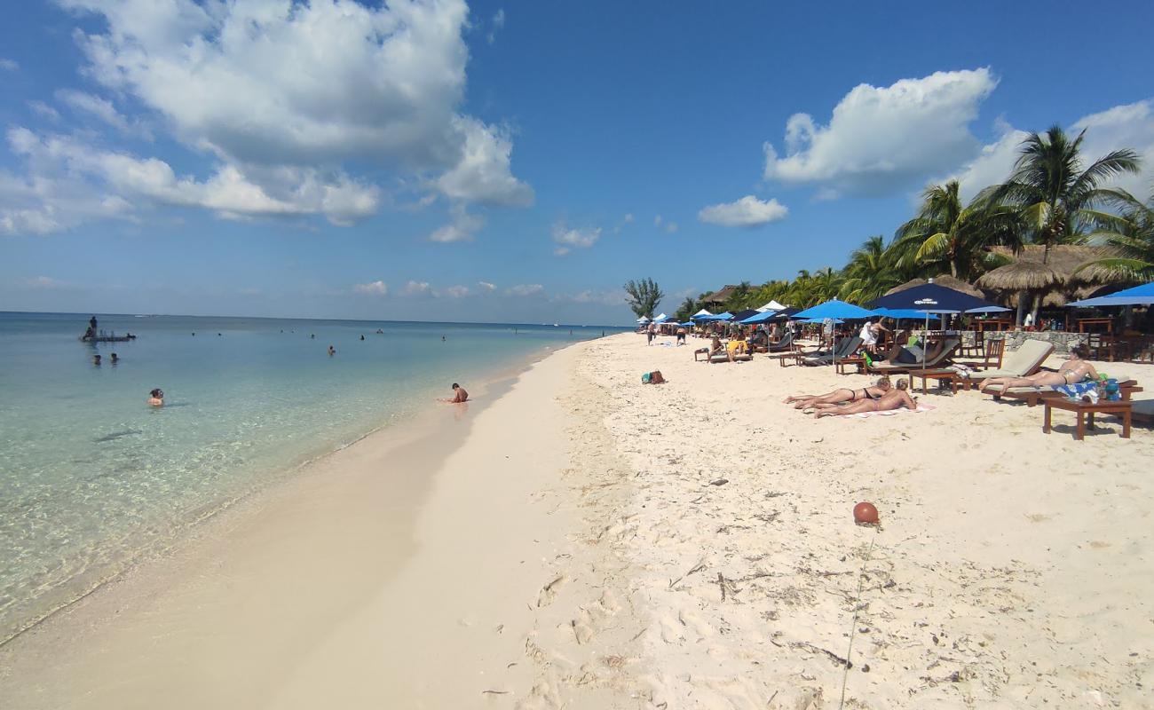 Explore Cozumel: Your Ultimate Guide to Paradise Island