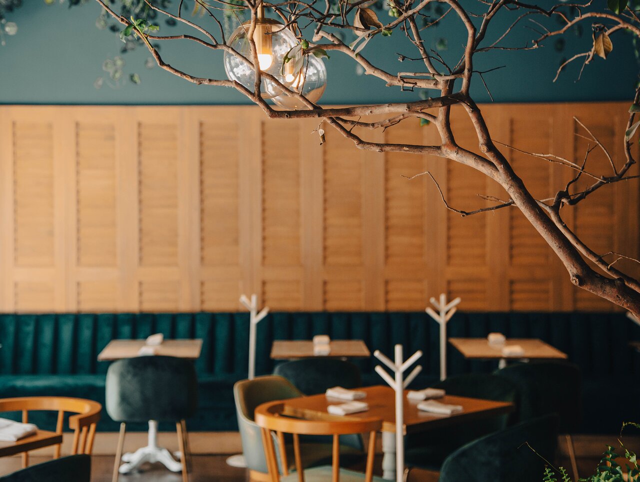 Explore the Magic of OMETUSCO by Mr. W: Your Next Must-Visit Hotel in Mexico City