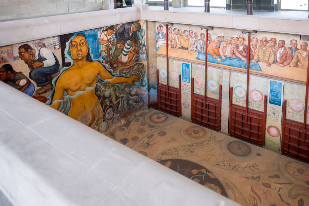 Exploring the Beauty of Chapultepec Park (CDMX): A Must-Visit Destination