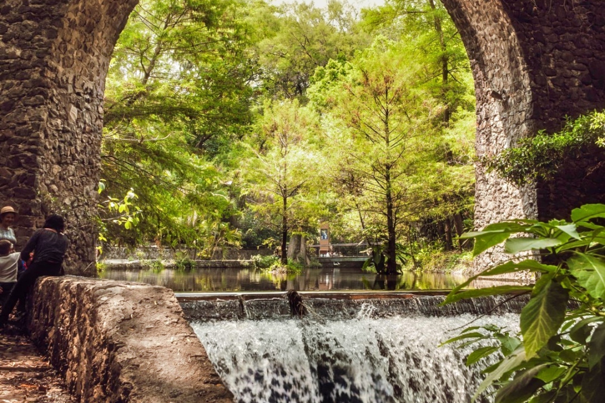 Exploring the Beauty of Chapultepec Park (CDMX): A Must-Visit Destination