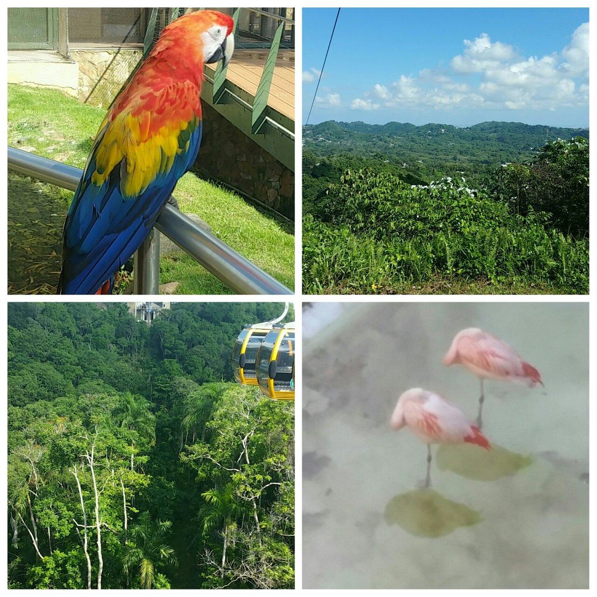Exploring the Natural Wonders of La Marquesa Park: An Unforgettable Adventure Awaits