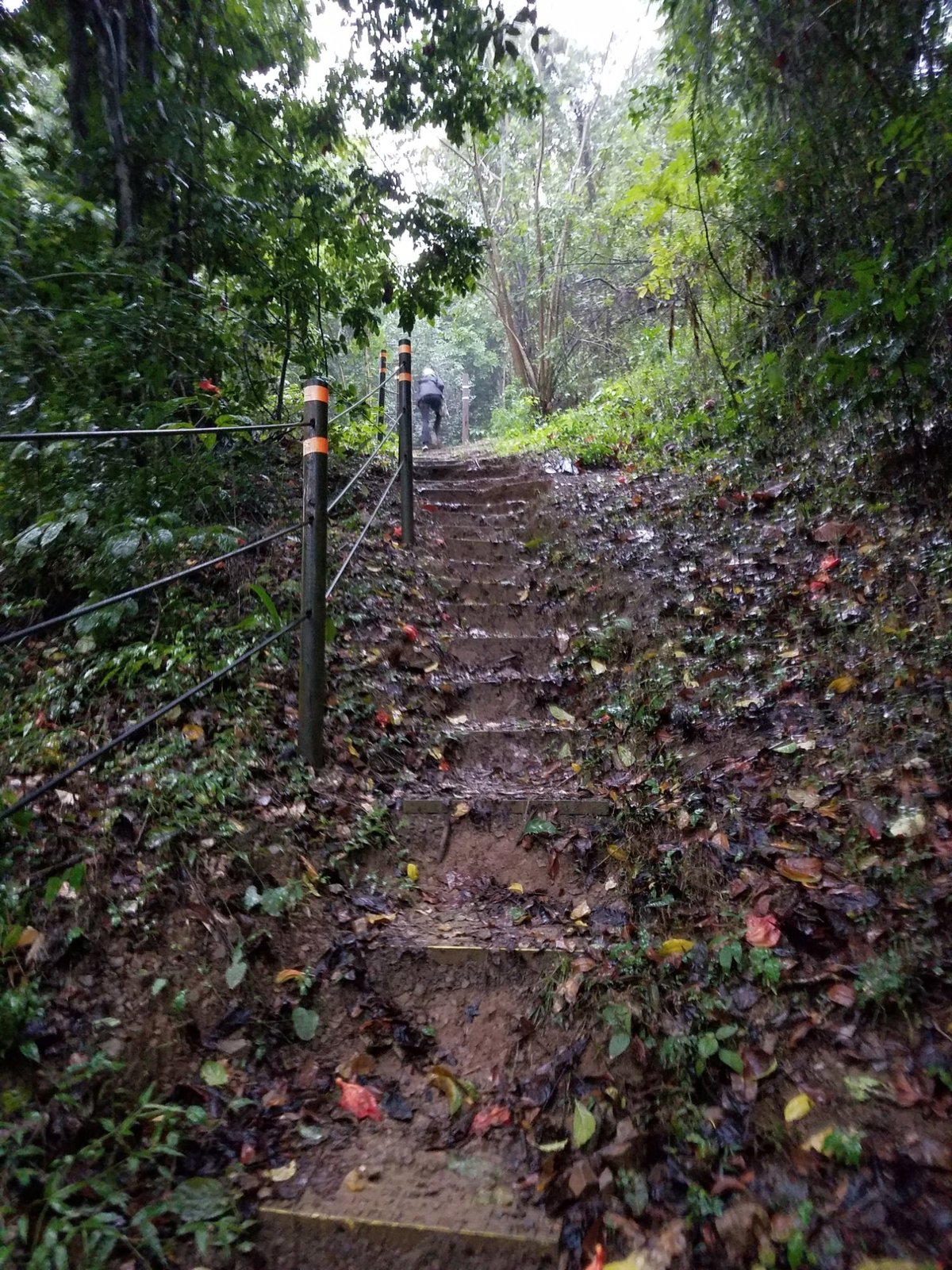 Exploring the Natural Wonders of La Marquesa Park: An Unforgettable Adventure Awaits