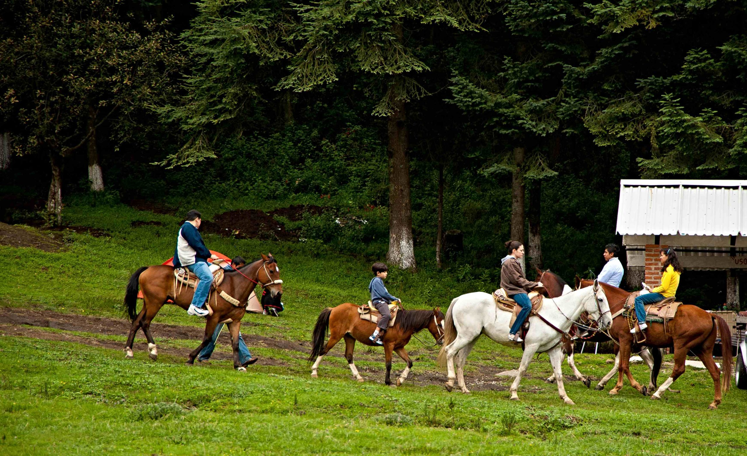 Exploring the Natural Wonders of La Marquesa Park: An Unforgettable Adventure Awaits