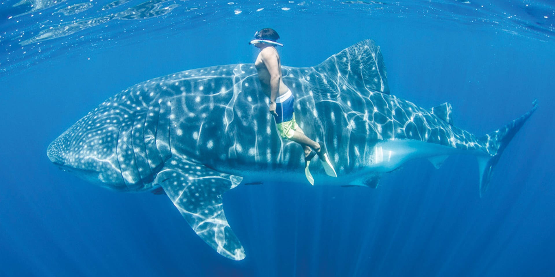 Holbox Island: Your Ultimate Guide to a Hidden Paradise