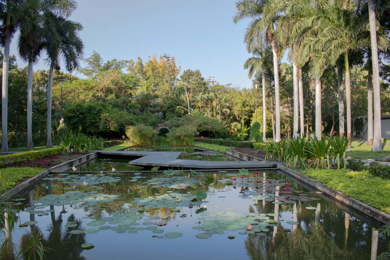 Jardín Botánico de Culiacán: Explore the Natural Paradise of Culiacán with Hotel Las Palapas
