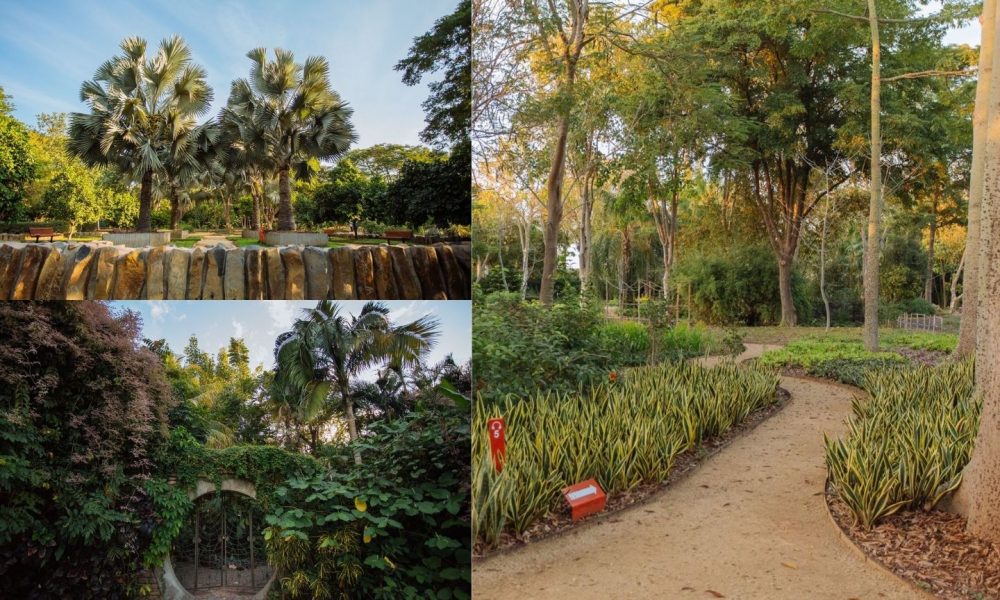 Jardín Botánico de Culiacán: Explore the Natural Paradise of Culiacán with Hotel Las Palapas