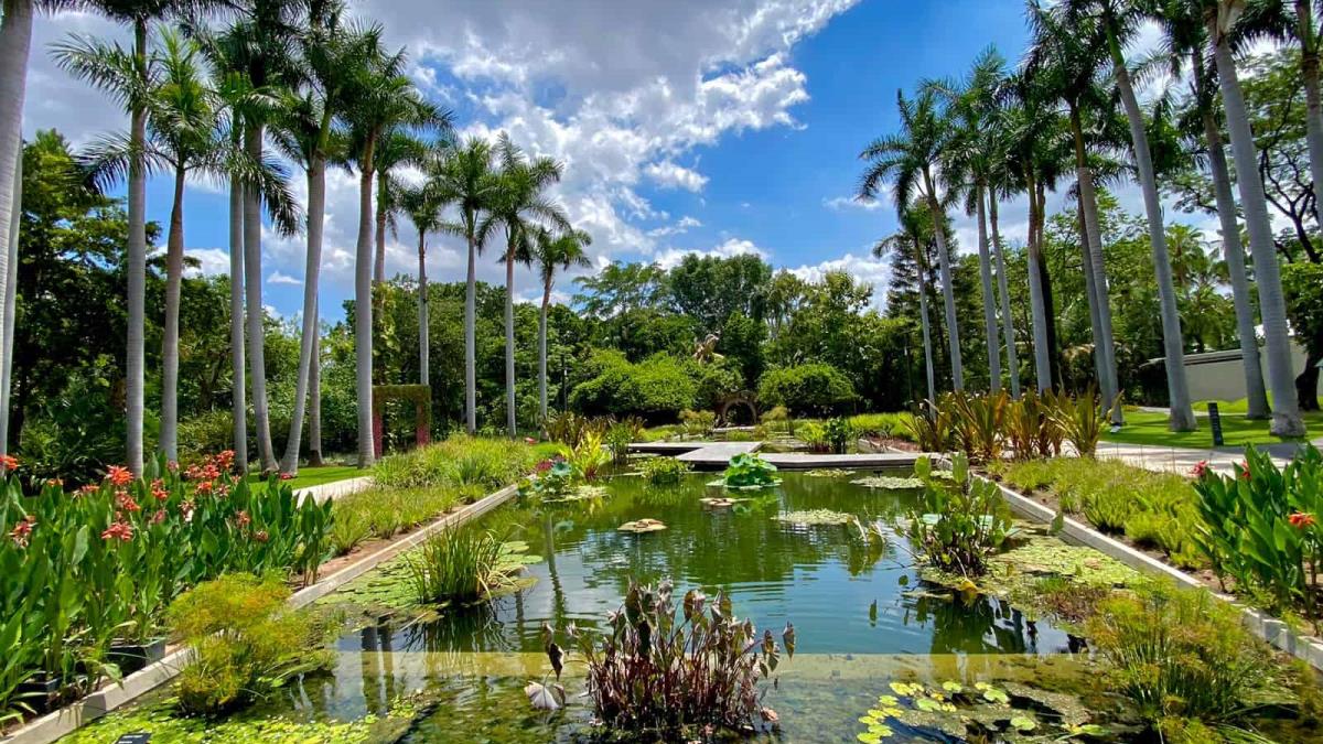 Jardín Botánico de Culiacán: Explore the Natural Paradise of Culiacán with Hotel Las Palapas