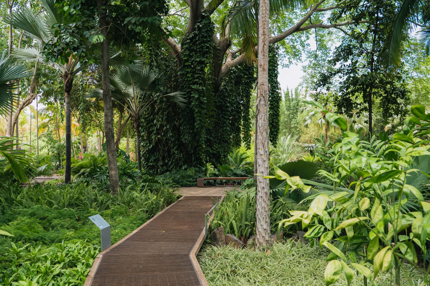 Jardín Botánico de Culiacán: Explore the Natural Paradise of Culiacán with Hotel Las Palapas