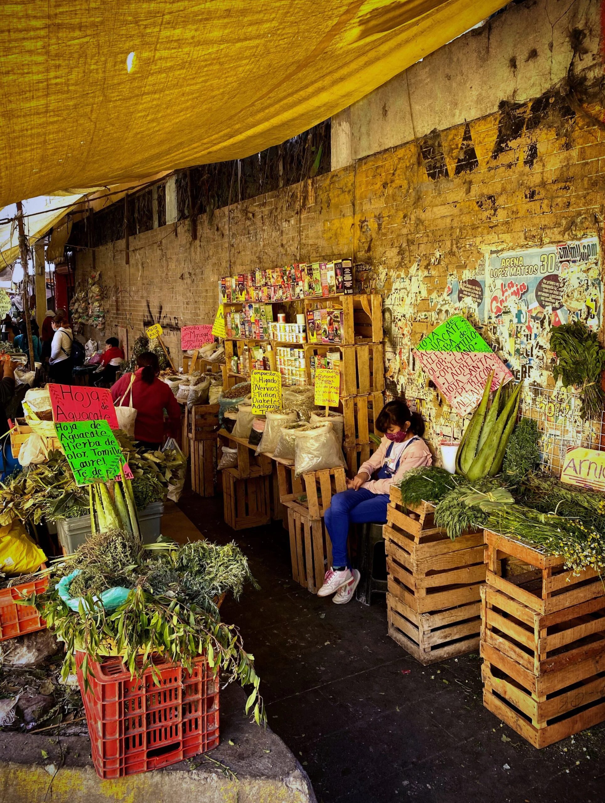 Mercado de la Merced (CDMX): Your Ultimate Guide to Exploring Mexico City&#8217;s Most Iconic Market