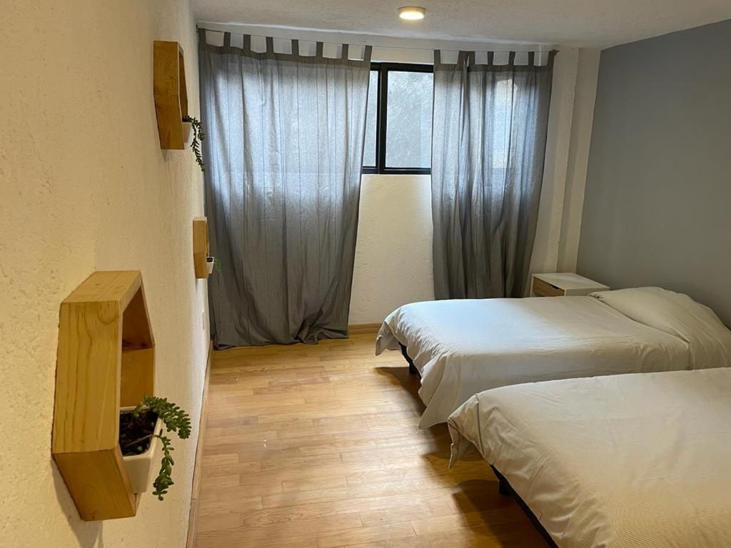 Mina 32 &#8211; Coyoacan: Discover the Ultimate Retreat at Hotel Las Palapas in the Heart of Coyoacan, Mexico