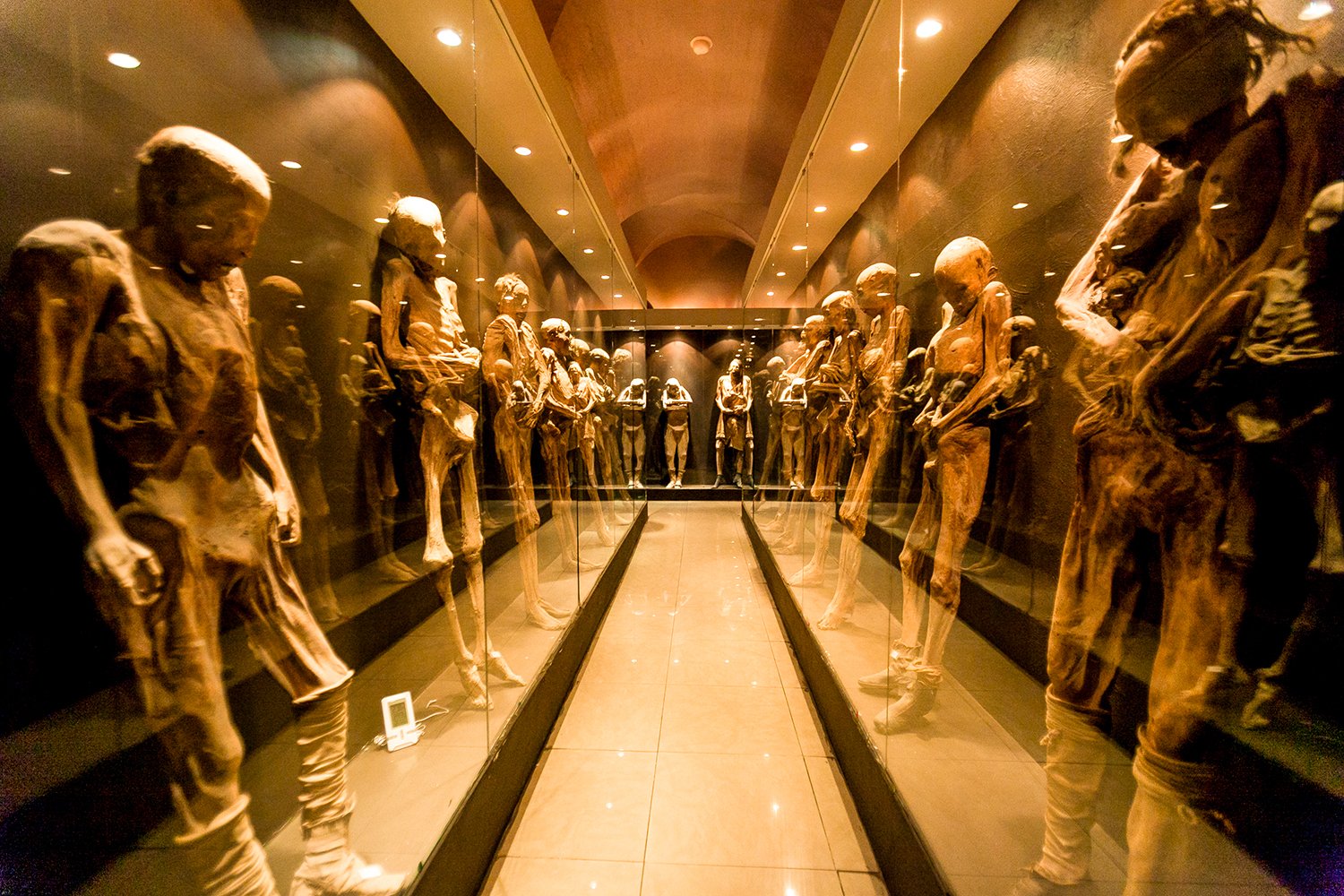 Museo de las Momias (Guanajuato): A Dark Yet Fascinating Journey into History