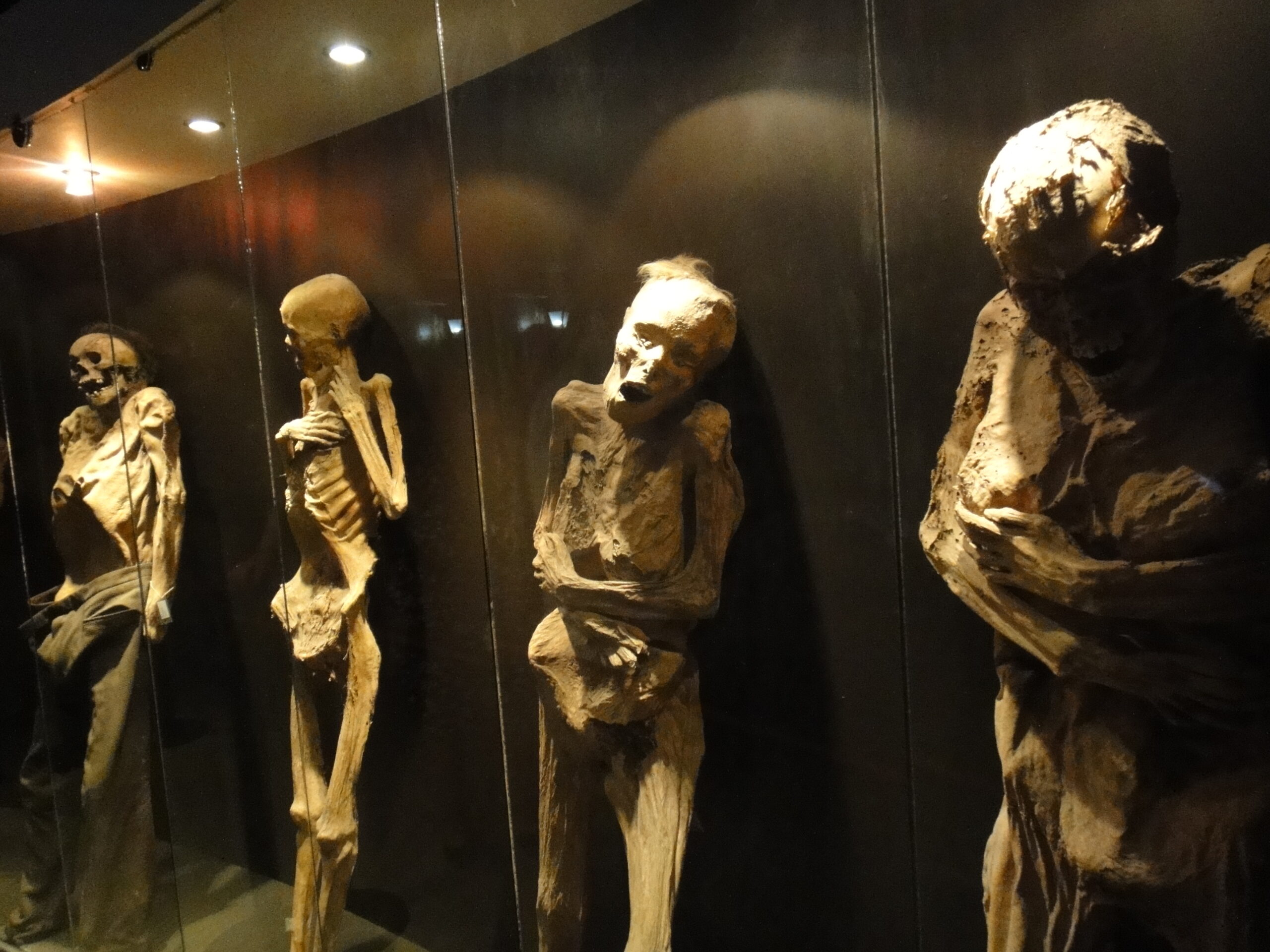 Museo de las Momias (Guanajuato): A Dark Yet Fascinating Journey into History