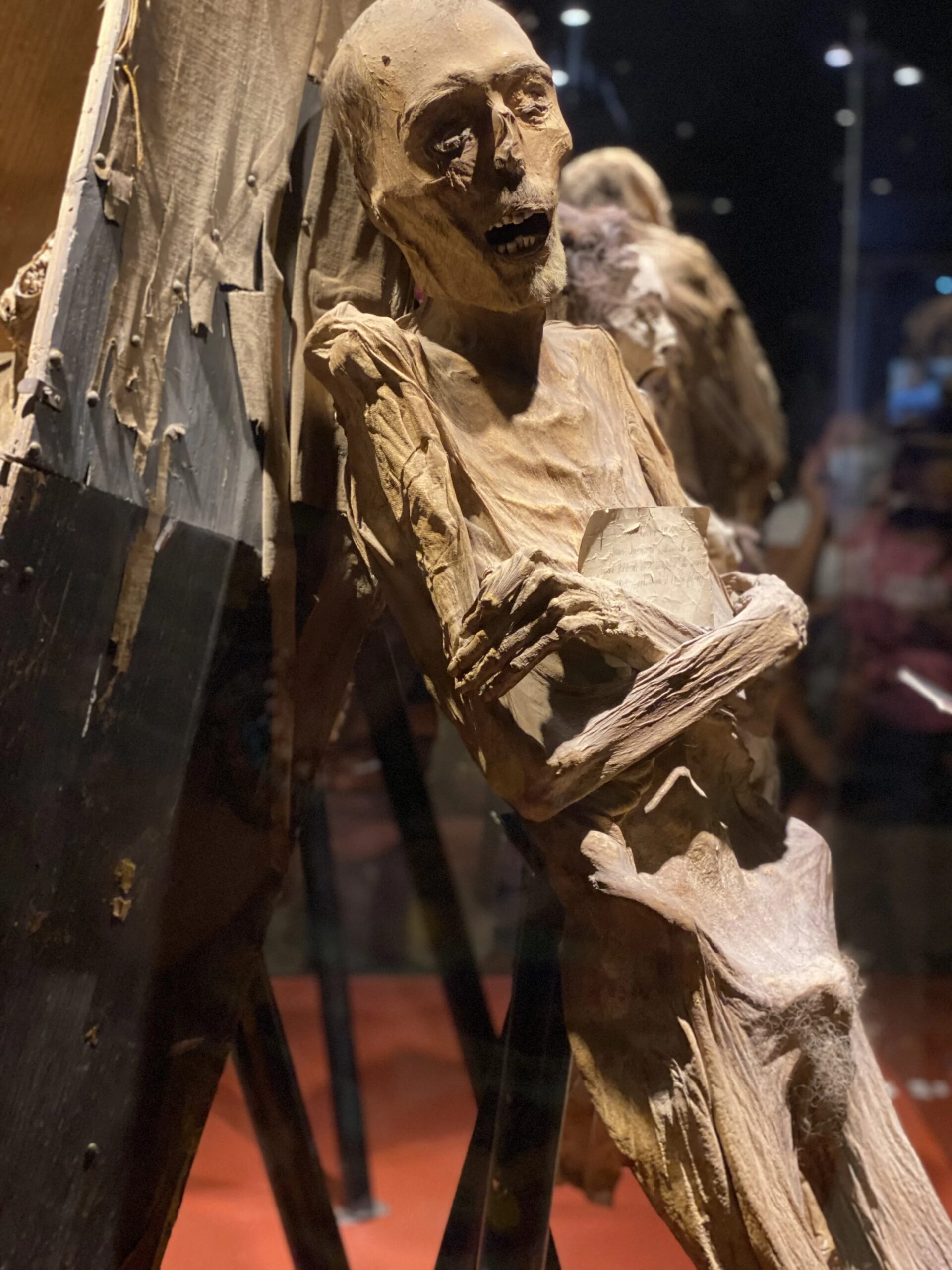Museo de las Momias (Guanajuato): A Dark Yet Fascinating Journey into History